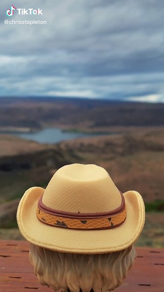 Country Singer Funko Pop Collection: A Fun Addition to Your Country Music Merch!