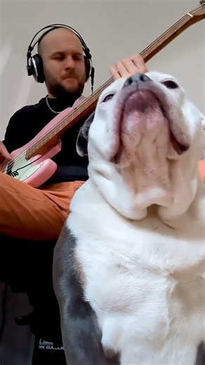 The Jackson 5 - I Want You Back - Bass cover