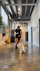 95K views · 2.7K reactions | Doors close at 7, let’s see what time the dogs go home! • • The dogs were not interested in chit chatting today, they were ready to go home! ❤️ • • #dogdaycare #doggiedaycare #dogdaycarelife #dogdaycarefun #doggiedaycarelife #doggielove #doglover #puppydaycare #doglover #doglovers #dog #dogs | Bryan Tabler | Facebook