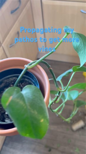 Propagating my pathos!!