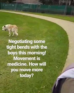 150mins of moderate intensity exercise (or 75mins of vigorous intensity exercise) + 2x sessions of strength training per week are the physical activity guidelines set by the World Health Organisation. How much will you move today? | Mick Hughes: Sports & Exercise Physiotherapist | Facebook