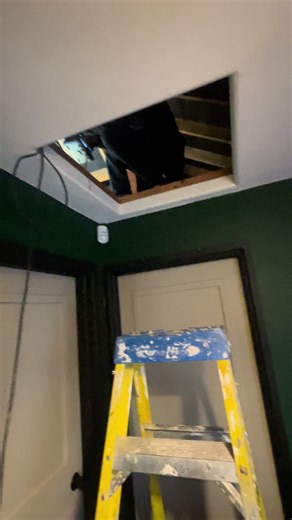 Attic renovation before: package- loft ladder raised floor light #homeimprovements #belfast #LoftAccess #loftladder #atticaccessni