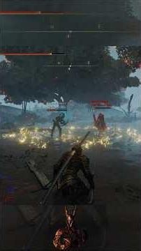Why Lightning and Water dont Mix Elden Ring Invasion