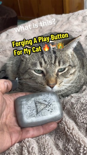 Forging A Trophy For My Cat