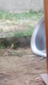 19K views · 1.2K reactions | La gamelle | Loukas et Gaspard | Facebook