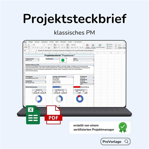 Project Brief Excel Template – Easy to Use + PDF Guide | Project Brief / PM Template | One-pager Download for Classic Projects - Etsy UK