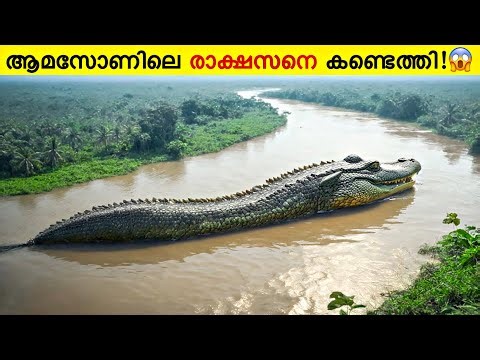 10 Largest Amazon Monsters Ever Discovered