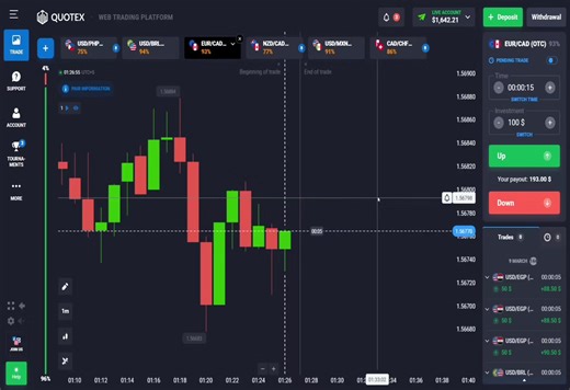 Maximize Your Trading with Live Highlights