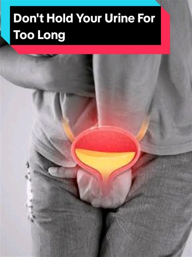 Your bladder prefers regular emptying it keeps your urinary system healthy and happy! #UrinaryHealth #BladderCare #UTIPrevention #KidneyHealth #HealthyHabits