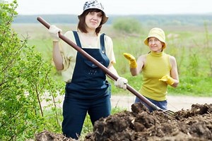 What Are The Best Ways To Manage Cow Manure?