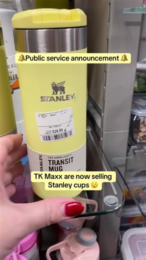 Discover Stanley Cups Now Available at TK Maxx
