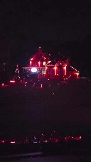 Go Dawgs! Christmas lights #christmas#GoDawgs #UGA #georgia #sicem | go dawgs christmas lights