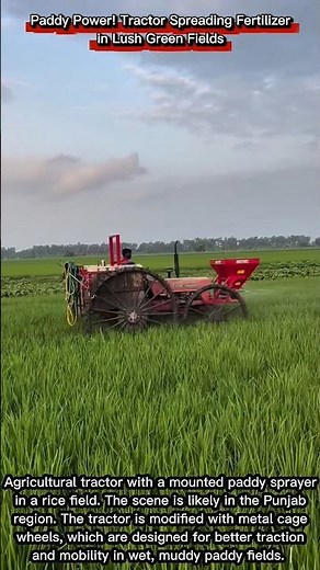 Paddy Power! Tractor Spreading Fertilizer in Lush Green Fields