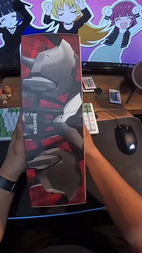 Armando Mi Primer Moderoid de Strelitzia y Zero Two