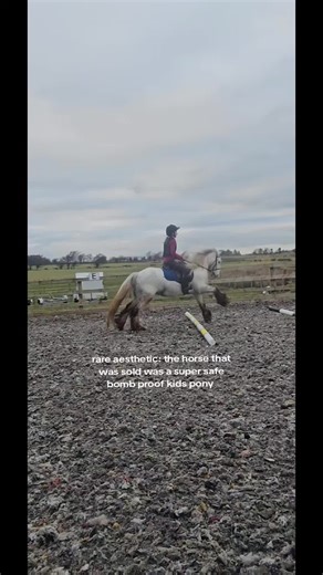 😭#equestrian #fyp#pony#viral#equine