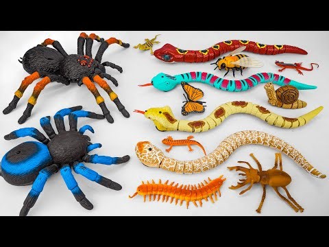 [toy asmr] Remote Control Animals: Giant Tarantula - Snake - Centipede | Satisfying Unboxing ASMR