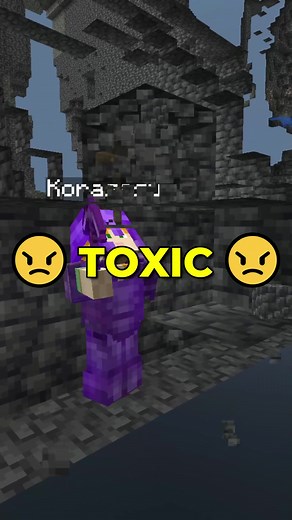 The most TOXIC player was XRAYING! ⚠️ #minecraft #gaming #viral