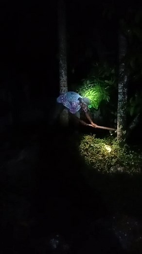 Nighttime Vegetation Clearing with Flashlight