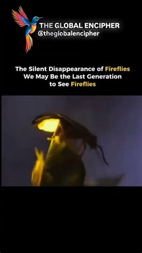 The Last generation to see fireflies 😔