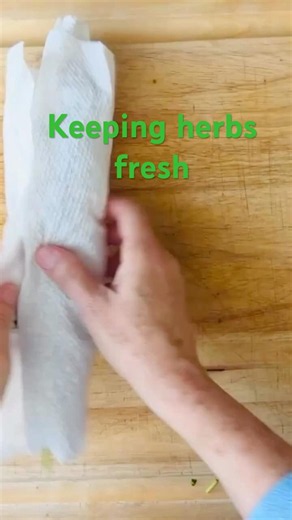 How to keep herbs fresh (and prevent them from getting slimy!).