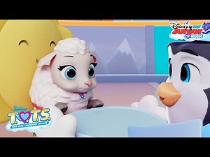 Playtime 🐾 | Music Video | T.O.T.S. | Disney Junior