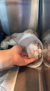 22 reactions · 4 comments | #BigDayofGiving is 3 days away! Goal:...