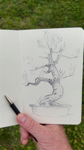 This is a pen drawing Had a great time blocking it in Had to consider proportions and scale quickly Had a great time w/ mark making & experimentation Is it finished? Should I develop it more? Let me know in the comments 🙂 | Polins Academy