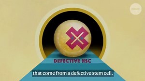 Paroxysmal nocturnal haemoglobinuria (PNH) is a rare haematological disease. This animation, from Nature Reviews Disease Primers, highlights the complex pathological mechanisms of PNH and the available treatments. Learn more: https://go.nature.com/2vVy3TV | Nature Portfolio