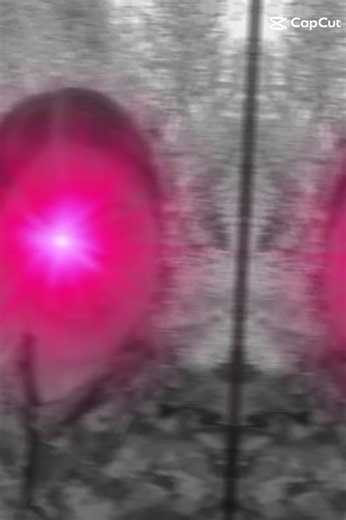 Lina Manander (@lina.manander)’s videos with original sound - Lina Manander