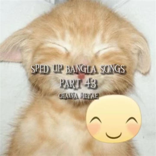 😊 #bangla #bengali #bangladesh #southasian #desiaudios #banglatok #spedup