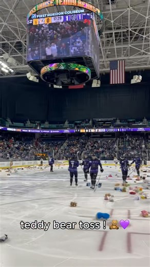 Thinking about Teddy Bear Toss 😍 🧸 A huge shout out to @HudsonAutoworks for lending us trucks to help make the clean-up process quicker and smoother! | Greensboro Gargoyles