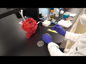 Neogen | Soleris NG | Rapid Microbial Testing System