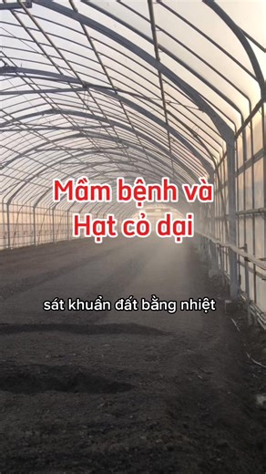 Sát khuẩn đất bằng nhiệt mặt trời >> Soil solarization 太陽熱による土壌消毒 >> Bản chất của phương pháp Sát khuẩn đất bằng nhiệt mặt trời là: Tận dụng nắng độ ẩm màng phủ trong suốt Làm nhiệt độ đất tăng cao liên tục Để tiêu diệt hoặc ức chế mạnh: nấm bệnh trong đất vi khuẩn gây hại tuyến trùng hạt cỏ dại mầm bệnh tồn dư sau nhiều vụ - Không dùng thuốc - Không tồn dư hóa chất - Đặc biệt hiệu quả với rau màu ngắn ngày #nongnghiep #nambenh #TuyenTrung #xulydat | Hữu Mạnh Nguyễn