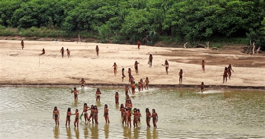 Rare Video Shows Isolated Indigenous Tribe Emerging From Amazon Amid Nearby Logging