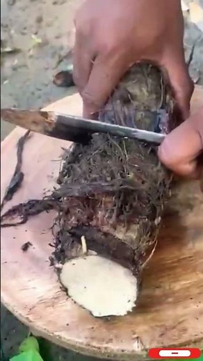 farming osrs #farming #fyp #viral #toptrending #garden #food #fruit #vegetables #wow #handmade