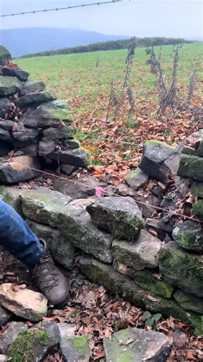 Some classic field dry stone walling in the Peak District National Park — nothing fancy, just traditional craft.” #drystonewalling #stoneranger #stonemasonry #heritageskills #peakdistrict #craftsmanship #traditionalcraft #fieldwork #stonework #landscapemanagement #heritageskills #handmade #countryside #farming | The Stone Ranger