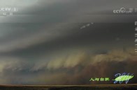 沙漠生存大揭秘！沙漠蜥蜴解锁逆天技能，轻松抵御风暴还能防暑降温_腾讯新闻