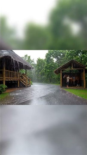 #rainsoundforsleep #heavyrain #relax #rainambience #nature