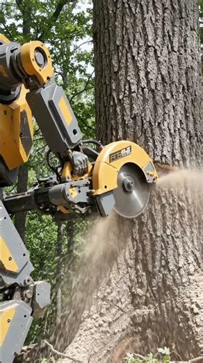 robot cut a tree