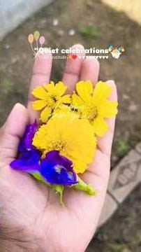 new year celebration #dailyvlog #minivlog #shorts #viral#youtubeshorts #2026#newyear #party#vlogger