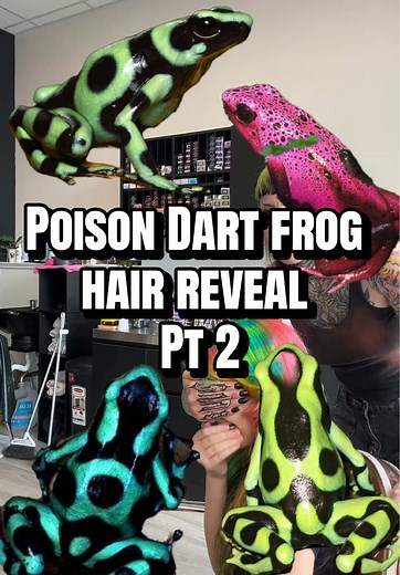 Poison Dart frog Hair reveal Pt2 #longislandhair #stephpaintzhair #beforeandafter #results #vividhair