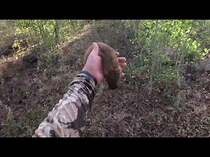 WY Black Powder Squirrels