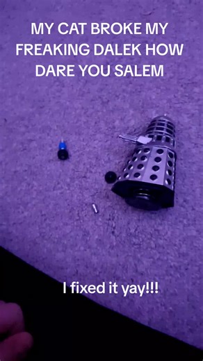 MY CAT BROKE MY DALEK also please ignore the S.H scars