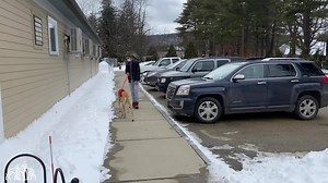 3.1K views · 75 reactions | We wanted to give you an update on Mojo,...