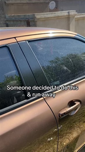 Living Life to the Fullest: Embrace Your Happiness