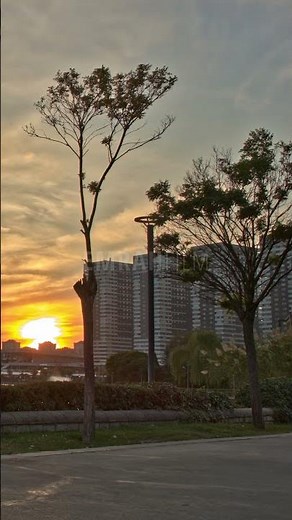 🌇 City Sunset | 4K Time Lapse | Harmony of Nature and Modern Life