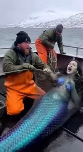 58K views · 520 reactions | Fishermen's Mermaid Catches #ViralReels #ReelsTrending #ReelsViral #Reels2025 #ExplorePage #FYP #TrendingNow #BoostYourReels #ReelMagic #ReelMovement #ReelSpotlight #ReelTok #TrendingVibes #ViralMoment #MustWatch #HotOnReels #WatchTillEnd #ForYou #viralcontentchallenge | Echoes of a Golden Mind | Facebook