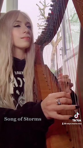 Mesmerizing Harp Performance with Perfect Timing | Legend of Zelda Song of Storms