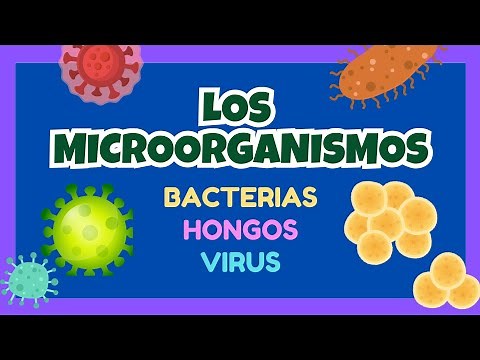 Los microorganismos [bacterias, hongos y virus] - Video educativo para niñ@s.
