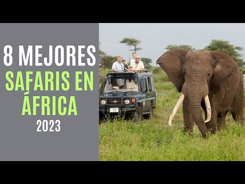 Ranking of the Best Safaris in Africa in 2023 - Tours with Giraffes, Elephants, and More